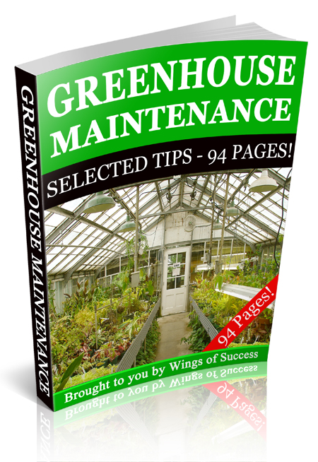 Greenhouse_Maintenance